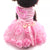 Pet Dog Princess Wedding Dress Tutu Rosette&Bow Dresses Cat Puppy Skirt Spring/Summer Clothes  Apparel 2 Colours