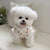 Pet Clothes Small Dog Princess Dress Winter Autumn Sweet Skirt Cat Cute Wool Sweater Puppy Warm Coat Poodle Chihuahua Maltese